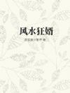 风水狂婿