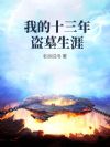 我的十三年盗墓生涯