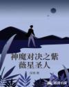 神魔对决之紫薇星圣人