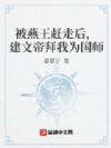 被燕王赶走后,建文帝拜我为国师