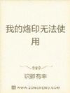 我的烙印无法使用