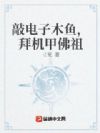 敲电子木鱼,拜机甲佛祖