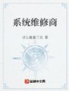系统维修商